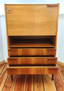 Pamono Secretaire attributed to Frantisek Mezulanik for Up Závody, Former Czechoslovakia, 1960s><noscript><img width=