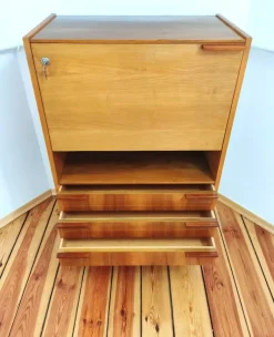 Pamono Secretaire attributed to Frantisek Mezulanik for Up Závody, Former Czechoslovakia, 1960s><noscript><img width=