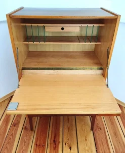 Pamono Secretaire attributed to Frantisek Mezulanik for Up Závody, Former Czechoslovakia, 1960s><noscript><img width=