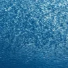 Pamono Serene Cove Waters, 2020, Cyanotype> Minimalist