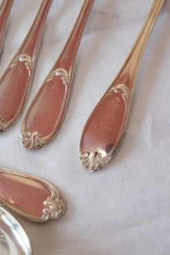 Pamono Set of French Cutlery by Ercuis, Set of 12><noscript><img width=