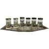 Hot Pamono Shot Glasses by Adolf Loos for Bakalowits & Söhne, 1890s, Set of 6