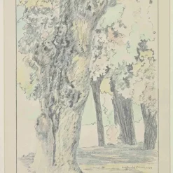 Pamono Sigfrido Oliva, In the Wood, Pencil and Watercolor, 1989, Framed><noscript><img width=
