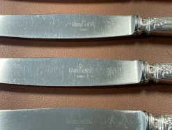 Pamono Silver Metal and Stainless Steel Knives from Paris Ravinet, Set of 12><noscript><img width=
