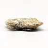 Pamono Silver Ring from Flora Danica> Rings