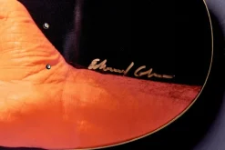Discount Pamono Skateboard Deck by Original in Berlin
