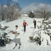 Pamono Skiing Waiters Oversize C Print Framed in Black by Slim Aarons> Mid-Century