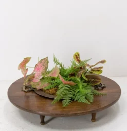 Pamono Spanish Basque Oak & Copper Brazier or Planter, 19th Century><noscript><img width=
