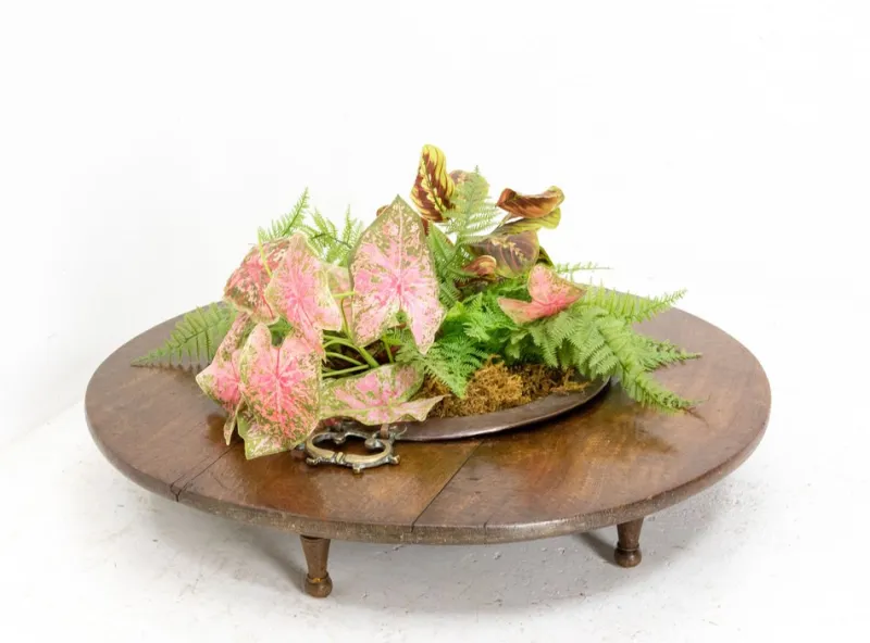 Pamono Spanish Basque Oak & Copper Brazier or Planter, 19th Century> Planters And Jardiniere