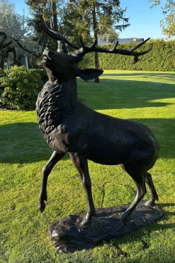 Pamono Stag Sculpture, 1910, Bronze> Art Nouveau