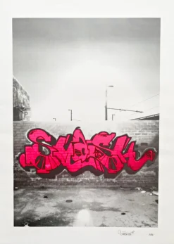 Pamono Street Art Silkscreen Print by Smash 137