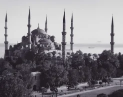 Pamono Sultan Ahmed Mosque, Istanbul, 1960s, Black & White Photograph> Photography