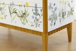Pamono Swedish Modern Dresser with Nordens Flora Illustrations by C. A. M. Lindman, 1930s><noscript><img width=