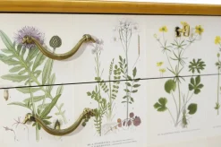 Pamono Swedish Modern Dresser with Nordens Flora Illustrations by C. A. M. Lindman, 1930s><noscript><img width=