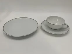 Sale Pamono Tac Tea Service in Platinum by Walter Gropius for Rosenthal, Set of 25