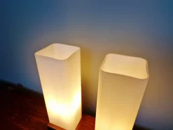 New Pamono Teak and White Opaline Wall Lights by Louis Kalff, 1960, Set of 2