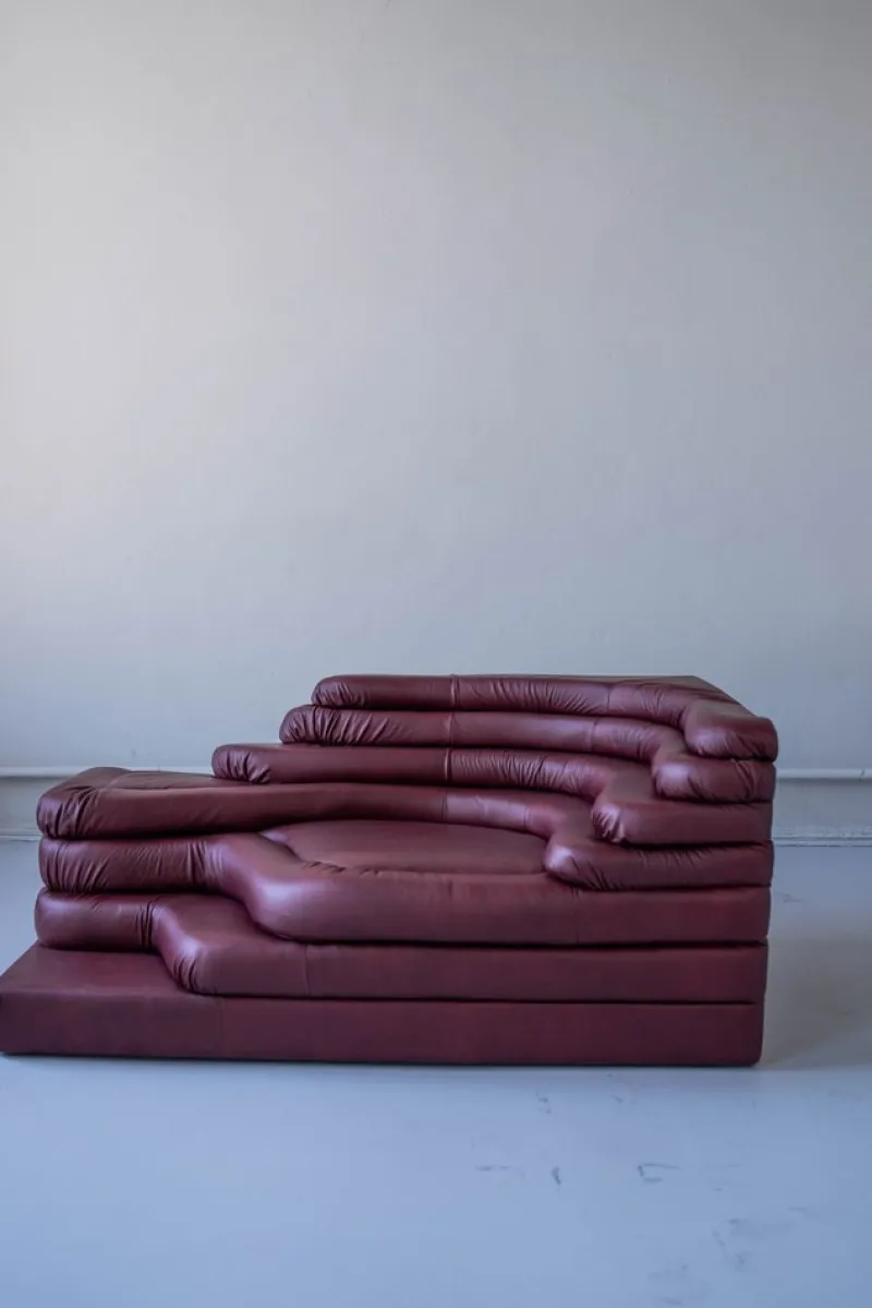 Pamono Terrazza Landscapes in Burgundy Leather by Ubald Klug for de Sede, 1970s, Set of 4> Living Room Sets
