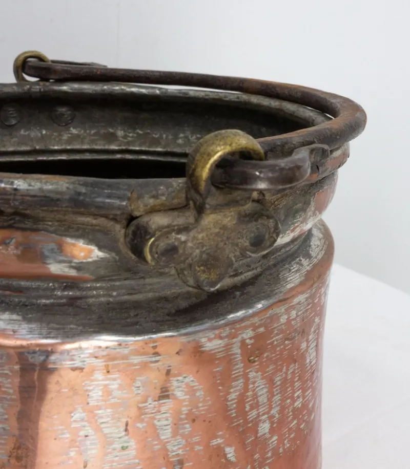 Pamono 19th Century Copper Jardinière, France> Garden Accessories