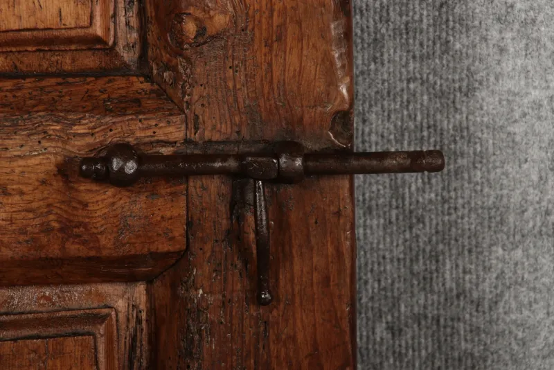 Pamono 16th Century Door, 1550s> Architectural Elements