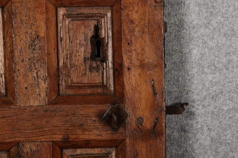 Pamono 16th Century Door, 1550s> Architectural Elements