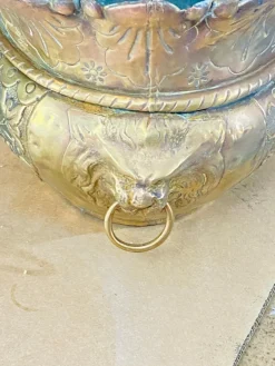 Outlet Pamono 19th Century French Brass Lion Head Jardinière