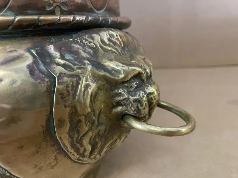 Outlet Pamono 19th Century French Brass Lion Head Jardinière