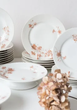 Best Pamono 19th Century French Dinner Service by Adolphe Hache, Set of 24