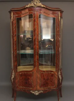 Outlet Pamono 19th Century French Kingwood Display Cabinet, 1880s