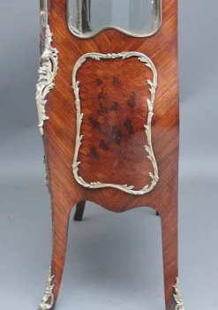 Outlet Pamono 19th Century French Kingwood Display Cabinet, 1880s