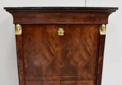 Pamono 19th Century Retour d’Égypte Mahogany Burl Veneer Secretaire