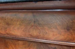 Pamono 19th Century Retour d’Égypte Mahogany Burl Veneer Secretaire