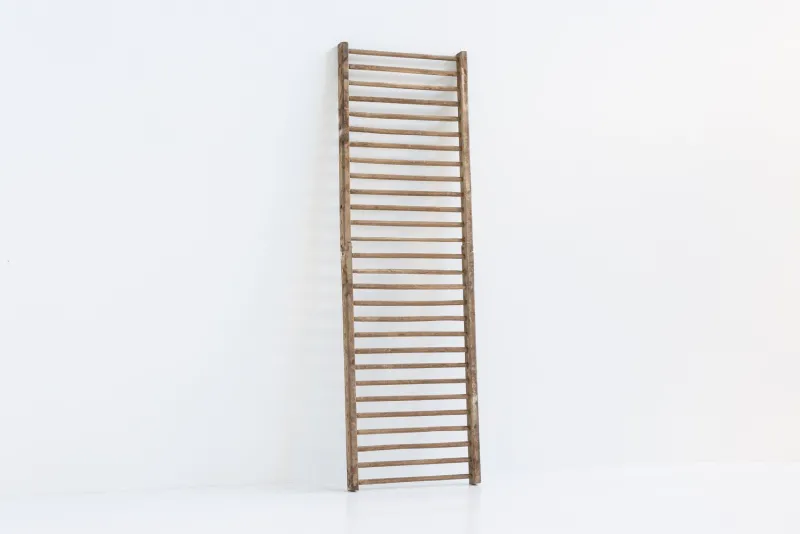 Pamono 20th Century Rustic Climbing Frame, France> Architectural Elements