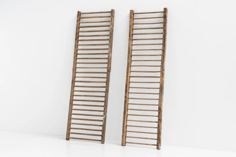 Pamono 20th Century Rustic Climbing Frame, France> Architectural Elements
