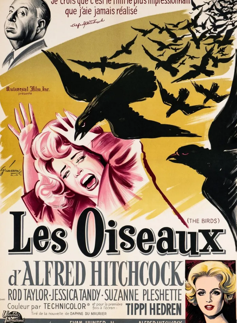 New Pamono The Birds Original Vintage Movie Poster by Boris Grinsson, French, 1963