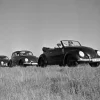 Pamono Three Models of the Volkswagen Beetle, Germany, 1938, Photograph> Mid-Century