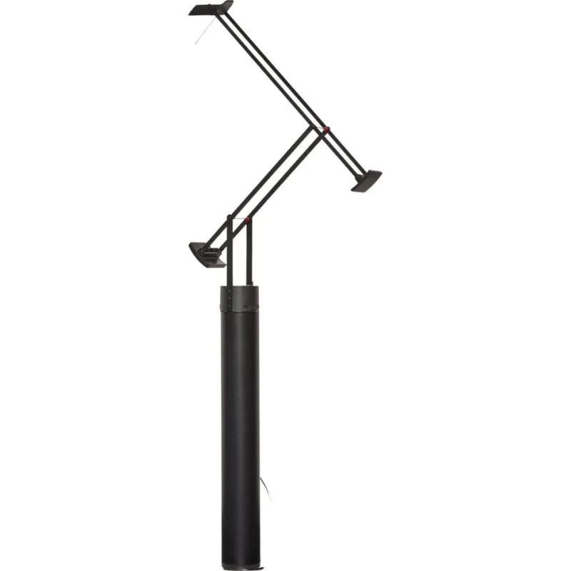 Hot Pamono Tizio 35 Terra Floor Lamp by Richard Sapper for Artemide, 1971
