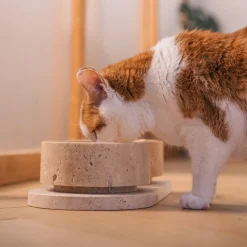 Pamono Travertine Pet Bowl from Kiwano Concept><noscript><img width=