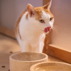 Pamono Travertine Pet Bowl from Kiwano Concept><noscript><img width=