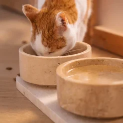 Pamono Travertine Pet Bowl from Kiwano Concept><noscript><img width=