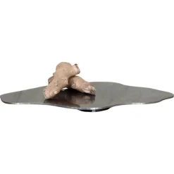 Pamono Tray in Sanded Stainless Steel by Esther De Vos> Tabletop|Trays