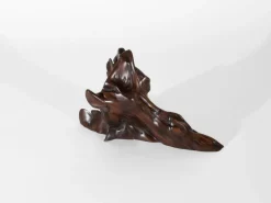 Clearance Pamono Tropical Driftwood Sculpture by Jörg Pietschmann