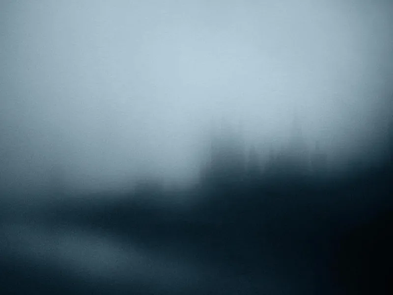 Online Pamono Ugne Pouwell, Parliament in Autumn, 2025, Photograph, Limited Edition 20