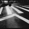 Discount Pamono Untitled #19, Pigeon Wall St From New York, Black and White, 2017