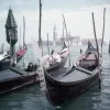 Hot Pamono Venice Gondolas, Limited Estate Stamped, 1957