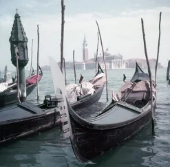 Hot Pamono Venice Gondolas, Limited Estate Stamped, 1957