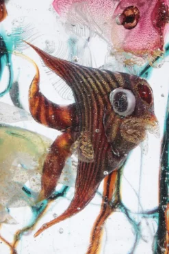 Pamono Very Large Murano Aquarium by Alfredo Barbini for Cenedese, 1960s><noscript><img width=