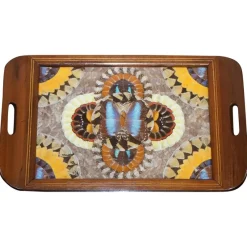 Pamono Vintage Brazilian Inlaid Wood Tray with Real Morpho Butterfly Wings> Trays
