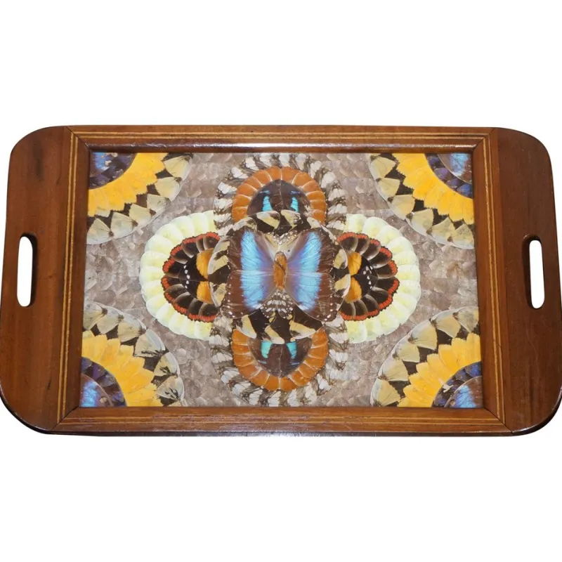 Pamono Vintage Brazilian Inlaid Wood Tray with Real Morpho Butterfly Wings> Trays
