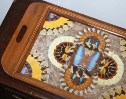 Pamono Vintage Brazilian Inlaid Wood Tray with Real Morpho Butterfly Wings><noscript><img width=
