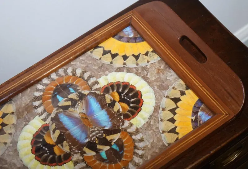 Pamono Vintage Brazilian Inlaid Wood Tray with Real Morpho Butterfly Wings> Trays